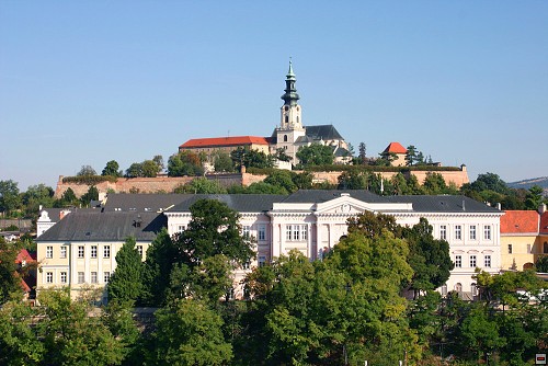 img00090.jpg