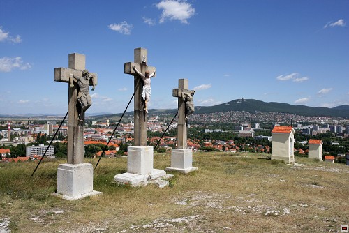 img00091.jpg