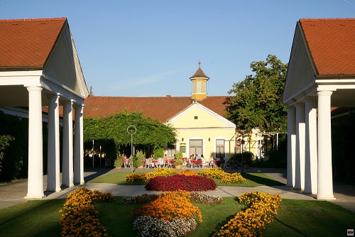 img00105.jpg