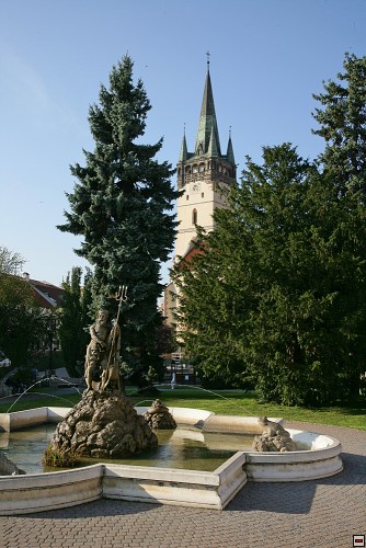 img00115.jpg