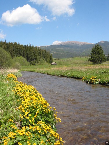 img00026.jpg