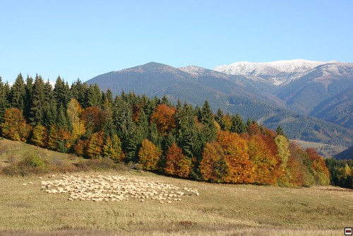 img00031.jpg