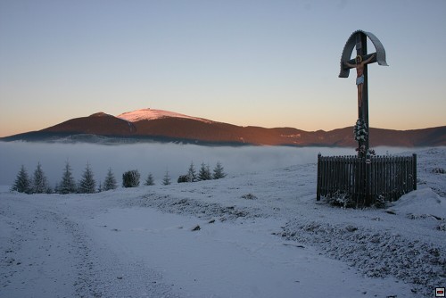 img00037.jpg