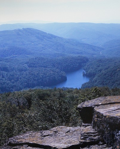 img00038.jpg