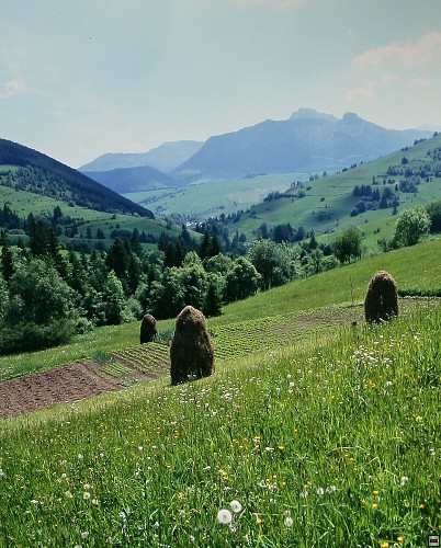 img00043.jpg