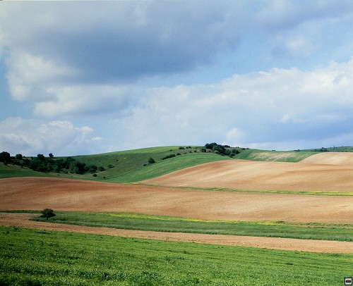 img00044.jpg