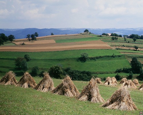 img00047.jpg