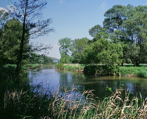 img00049.jpg
