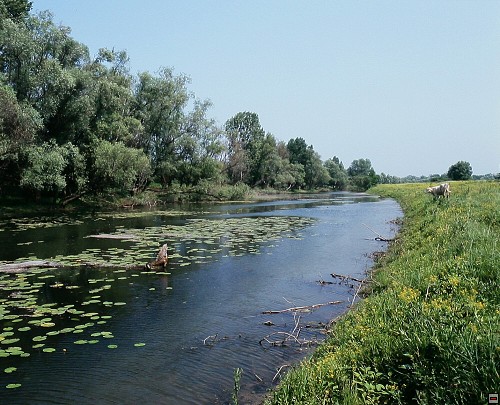 img00051.jpg