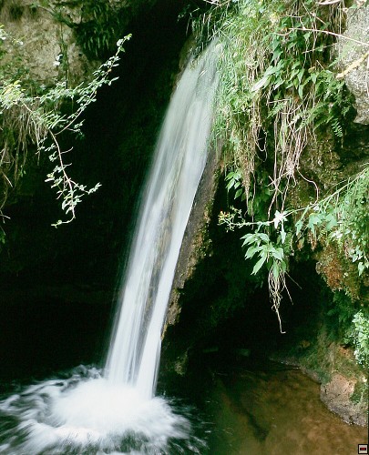 img00052.jpg