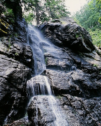 img00053.jpg