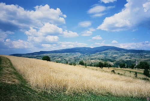 img00054.jpg