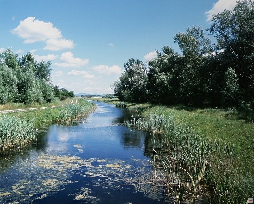 img00055.jpg