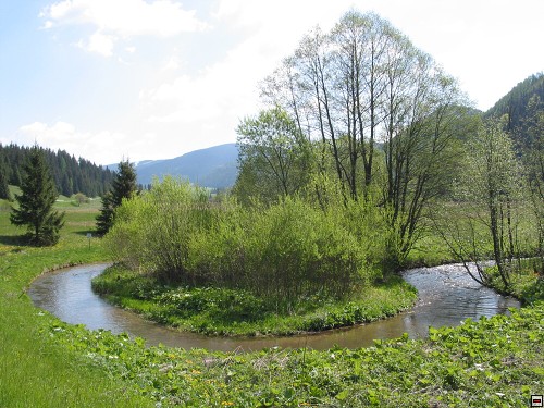 img00057.jpg