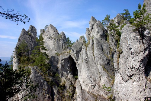 img00064.jpg
