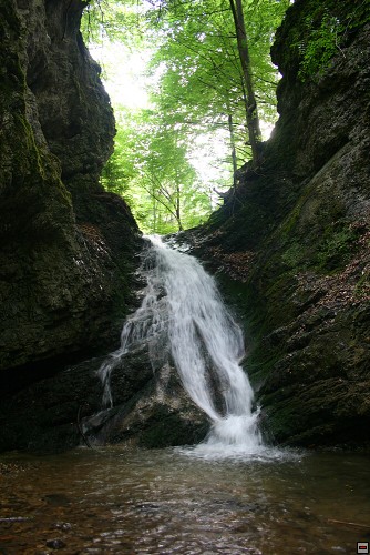 img00070.jpg