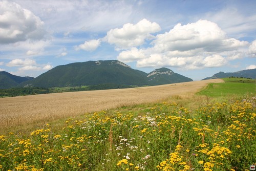 img00072.jpg