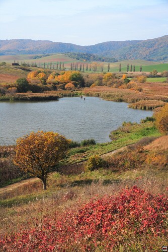 img00074.jpg