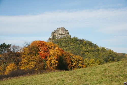 img00075.jpg