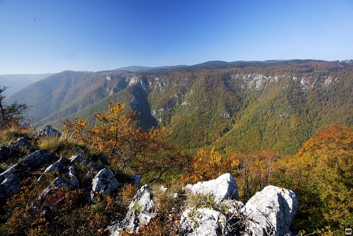 img00076.jpg