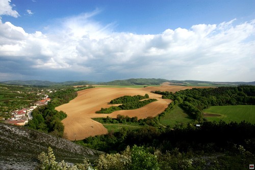 img00077.jpg