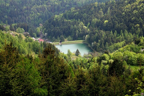 img00078.jpg