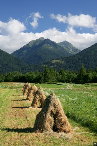 img00079.jpg