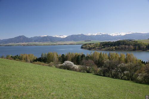 img00082.jpg