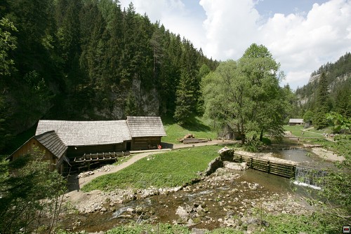 img00084.jpg