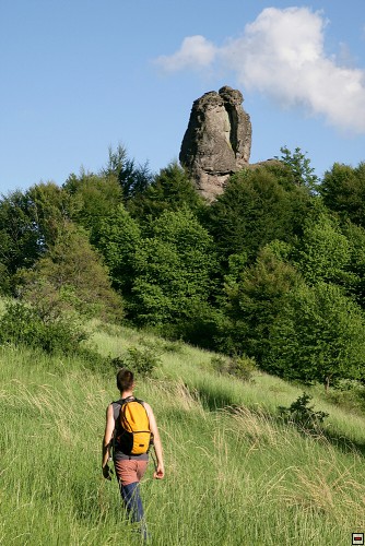 img00085.jpg