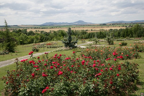 img00086.jpg