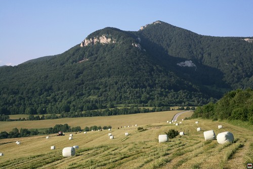 img00088.jpg