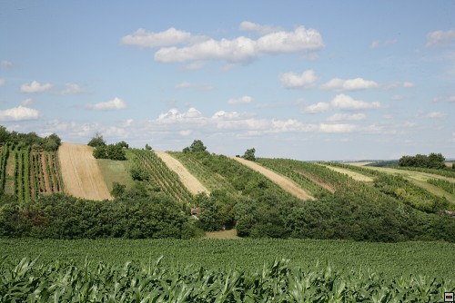 img00090.jpg
