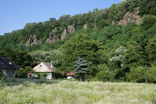 img00091.jpg