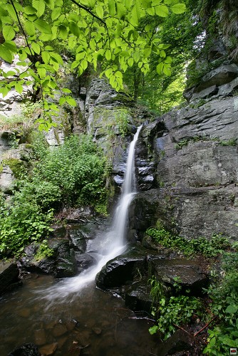 img00093.jpg