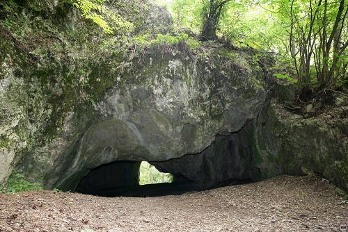 img00095.jpg