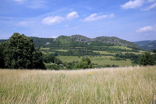img00096.jpg