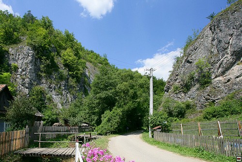 img00102.jpg