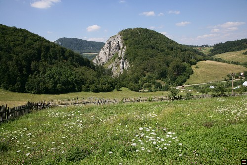 img00104.jpg