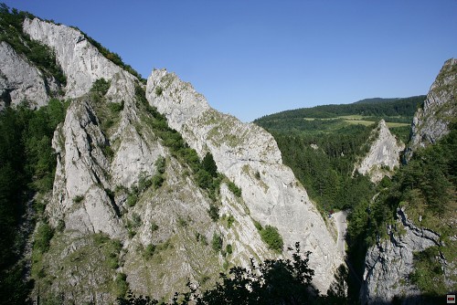 img00105.jpg