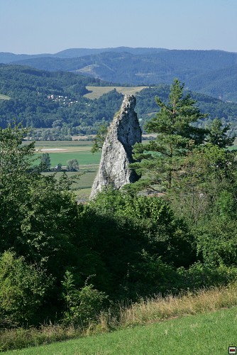 img00106.jpg