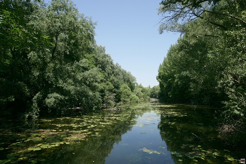 img00107.jpg