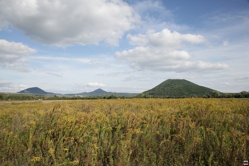 img00115.jpg