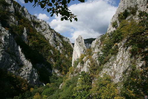 img00116.jpg
