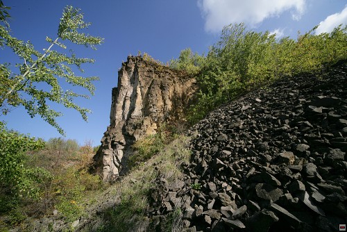 img00117.jpg
