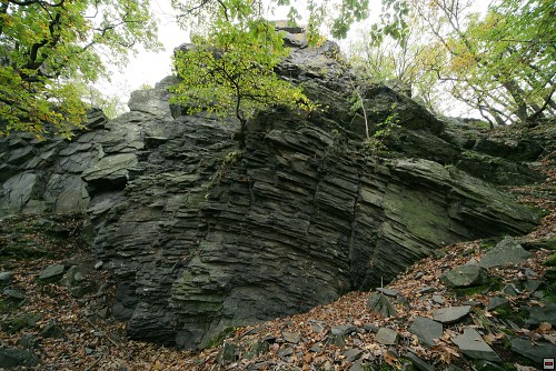 img00118.jpg