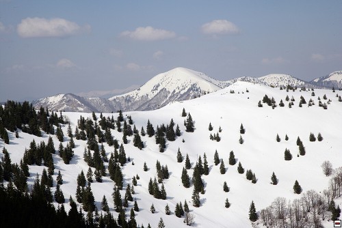 img00023.jpg