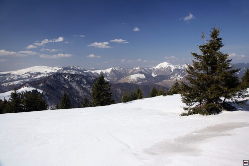 img00024.jpg