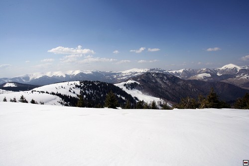 img00025.jpg