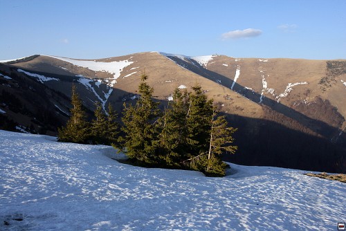 img00026.jpg